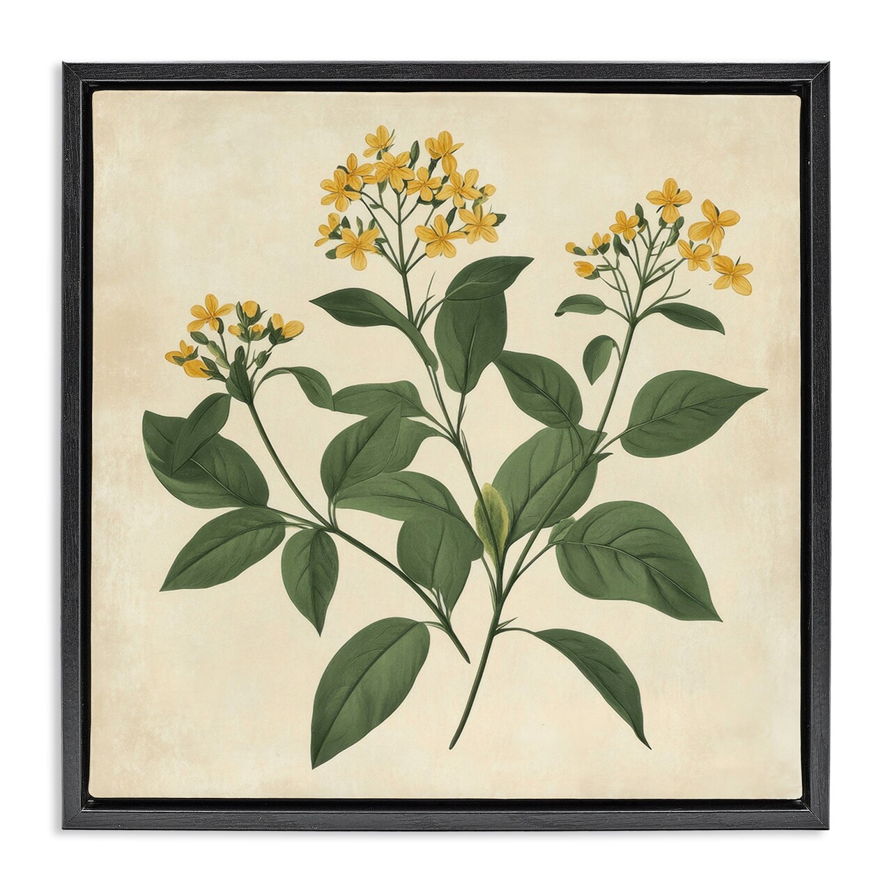 Stupell Industries Yellow Bushels Botanical Illustration Floating Frame, design by Petal Prints Design